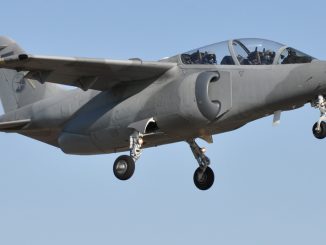 IA 63 Pampa Fuerza Aérea Argentina