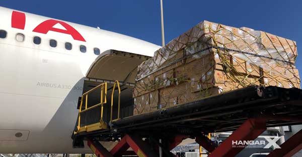 Día de Todos los Santos - IAG Cargo transportó 12 millones de flores desde Colombia y Ecuador