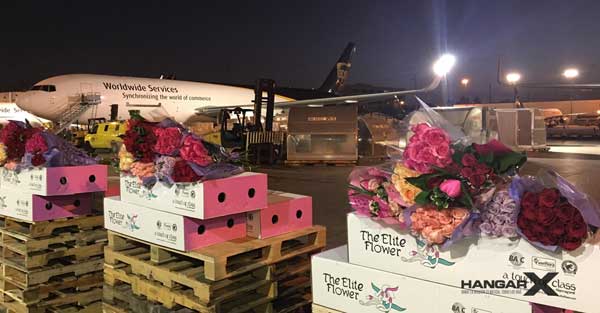 El Aeropuerto de Miami recibirá 1.400 millones de flores por San Valentín