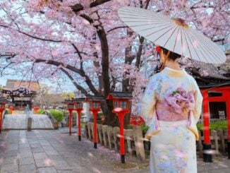 Una mujer con kimono tradicional bajo los cerezos en flor en Japón, imagen alusiva a la nueva ruta Madrid-Tokio de Iberia.